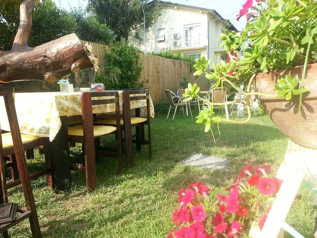 A Casa Di Ely Apartment Lido di Camaiore
