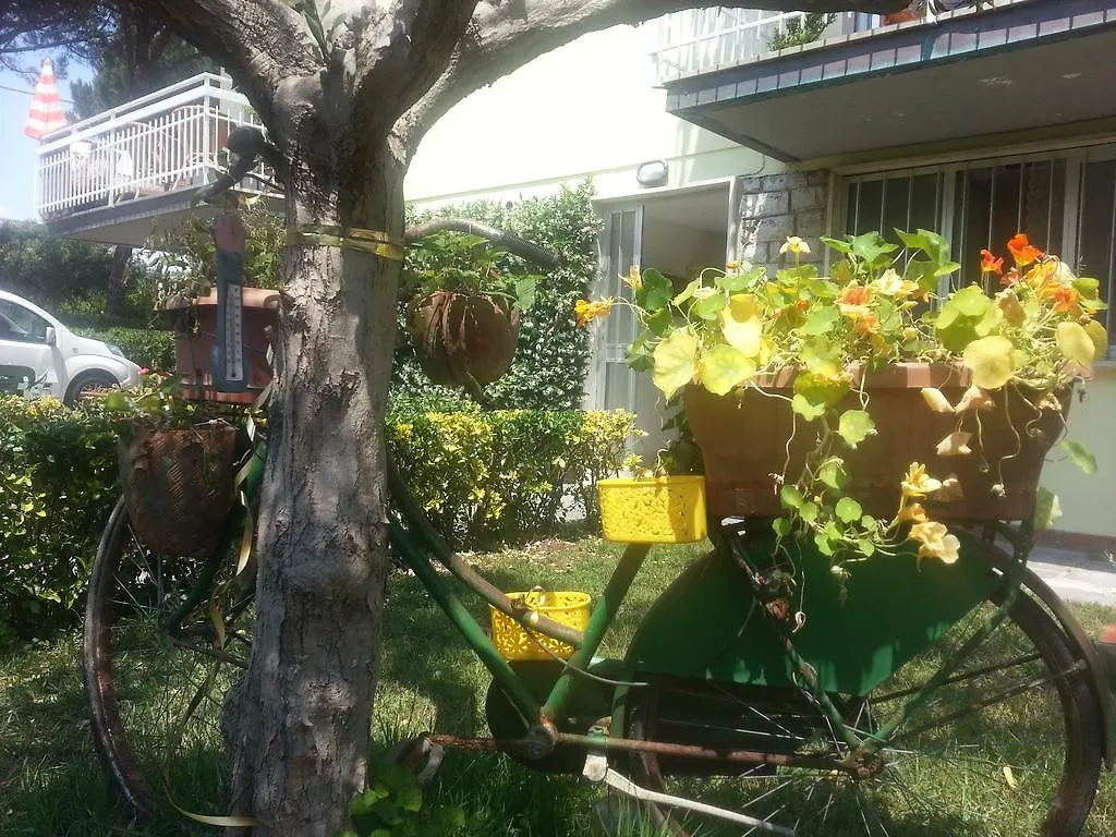 A Casa Di Ely Apartment Lido di Camaiore
