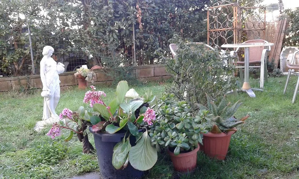 A Casa Di Ely Apartment Lido di Camaiore